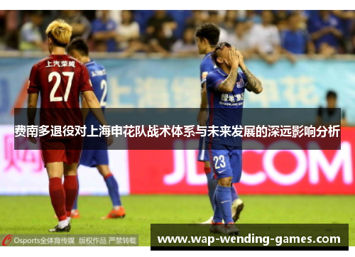 费南多退役对上海申花队战术体系与未来发展的深远影响分析