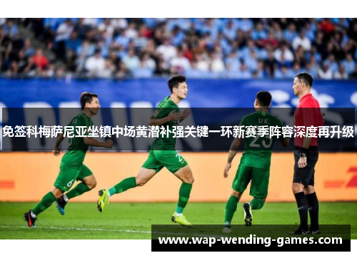 免签科梅萨尼亚坐镇中场黄潜补强关键一环新赛季阵容深度再升级